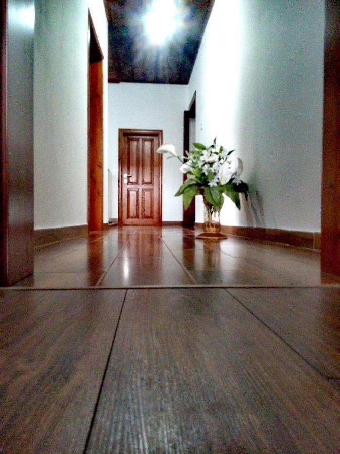 Guesthouse Celo ジロカストラ エクステリア 写真